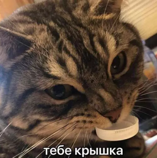 Смешная картинка №716521
