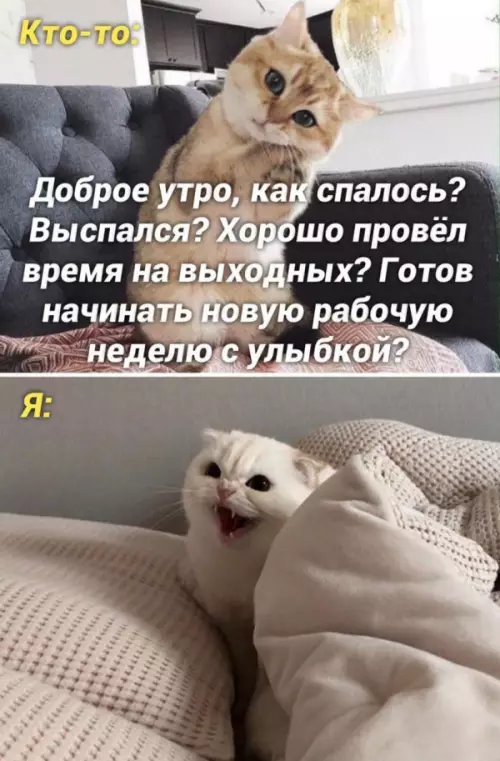 Смешная картинка №657589