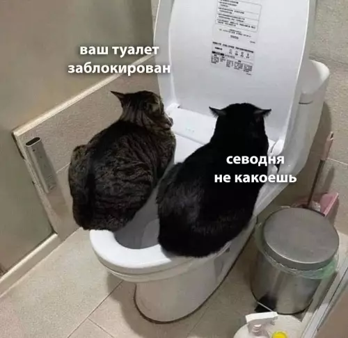 Смешная картинка №786312