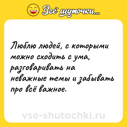 Шутка: Люблю людей, с которыми можно сходить с ума, разговаривать на неважные темы и забывать про всё важное.