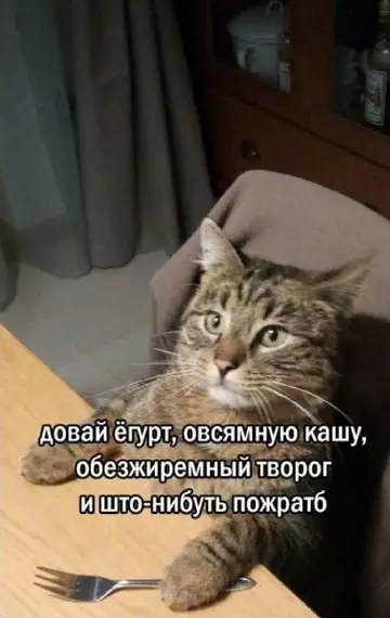 продолжение Смешная картинка №767972