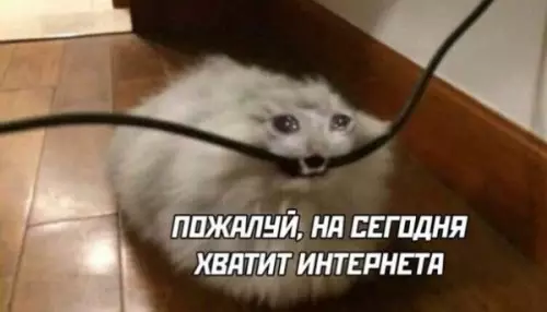 продолжение Смешная картинка №571217