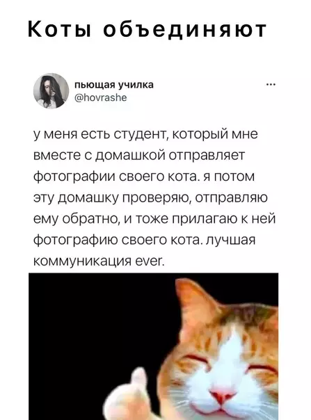 Смешная картинка №578057