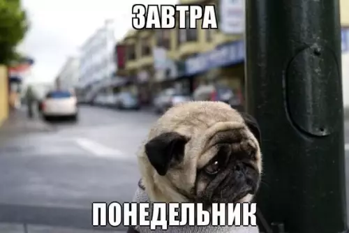 Смешная картинка №176954