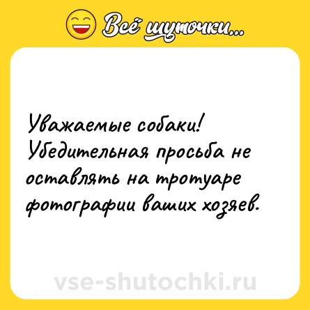 Шутка: Уважаемые собаки!Убедительная просьба не оставлять на тротуаре фотографии ваших хозяев.