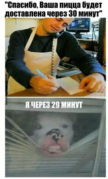 Смешная картинка №176018