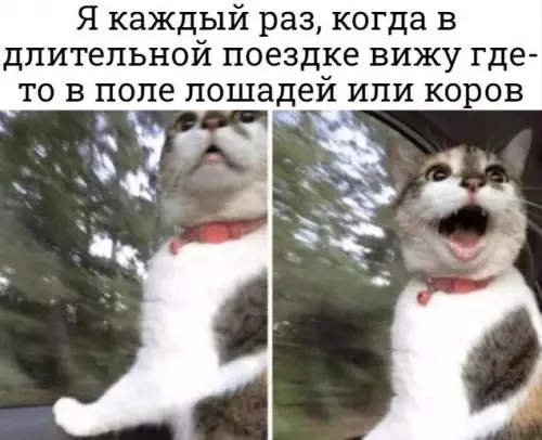 Смешная картинка №688250