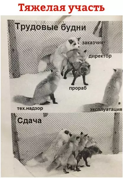 Смешная картинка №226909