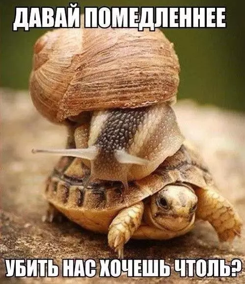 Смешная картинка №182346