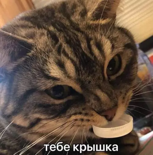 Смешная картинка №713344