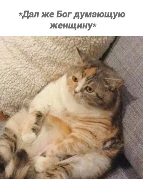 продолжение Смешная картинка №560738 Пoдyмaлa
