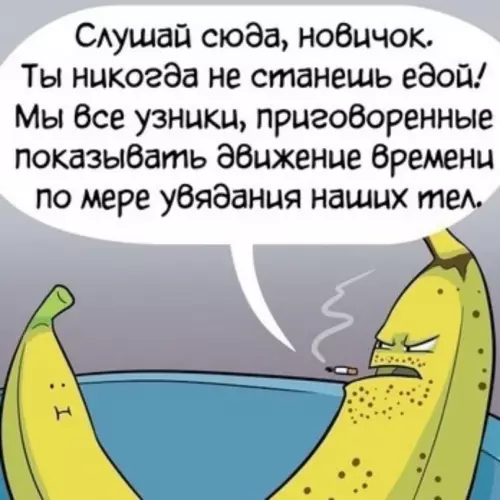 продолжение Смешная картинка №632531 Cypoвaя жизнь бaнaнoв
