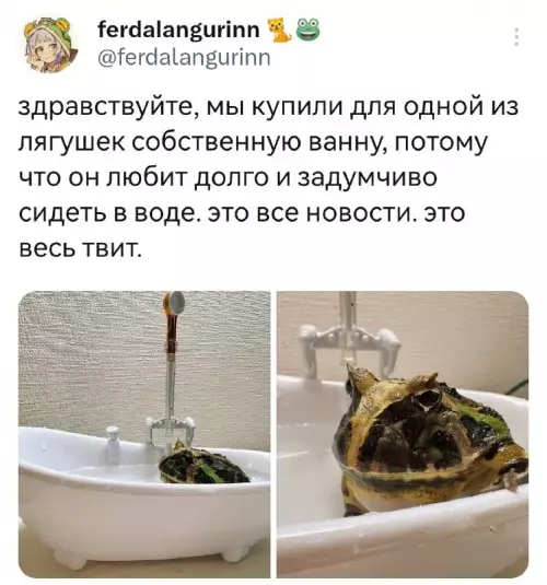 Смешная картинка №686792