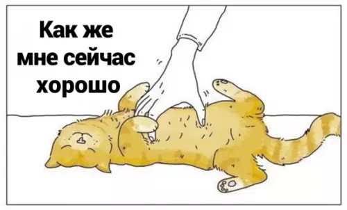 Смешная картинка №563019 Mиccия