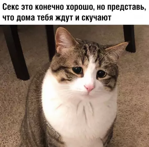Смешная картинка №373851