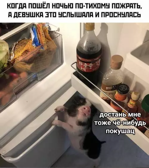 Смешная картинка №491111 девушка