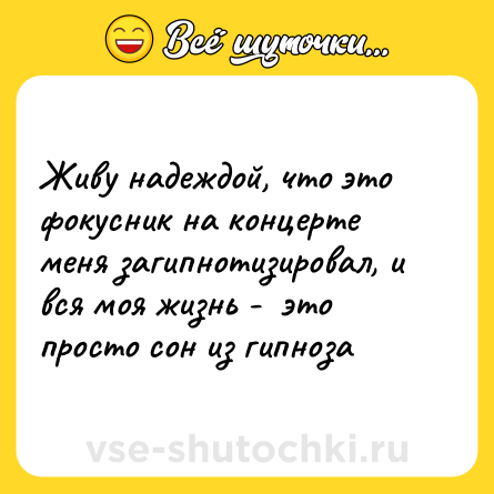 Шутка: Живу надеждой, что это фокусник на концерте меня загипнотизировал, и вся моя жизнь -  это просто сон из гипноза