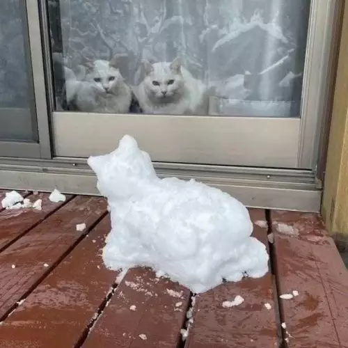 Смешная картинка №798095 Кто ты?