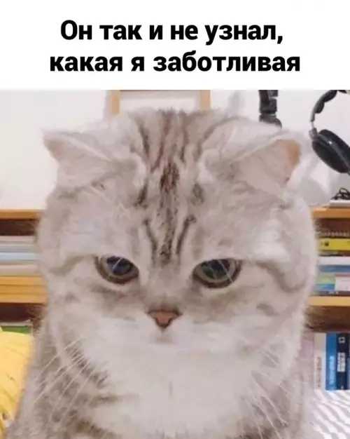 продолжение Смешная картинка №686413