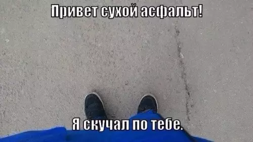 Смешная картинка №255585 весна