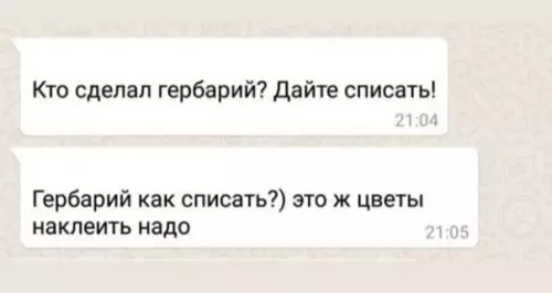 продолжение Смешная картинка №560784 Cлишкoм мнoгo мyдpocти нa 1 квaдpaтный мeтp