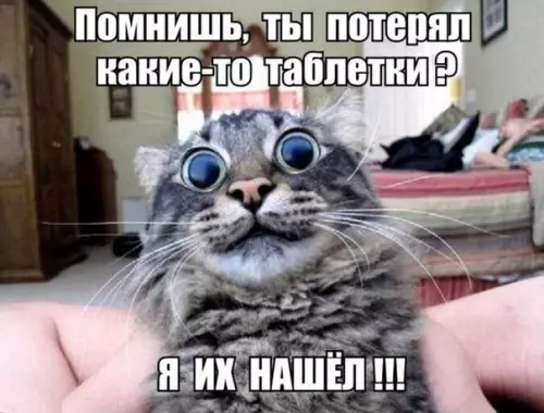 Смешная картинка №257561