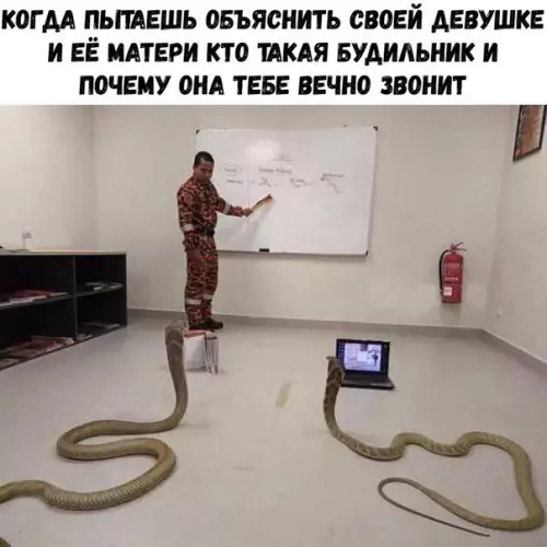 Смешная картинка №276179