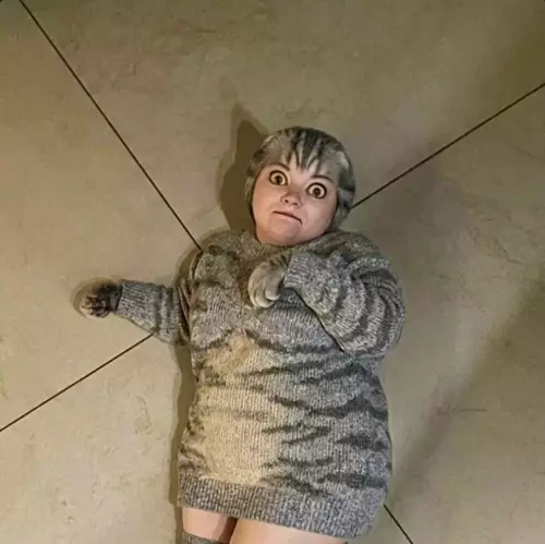 продолжение Смешная картинка №805356