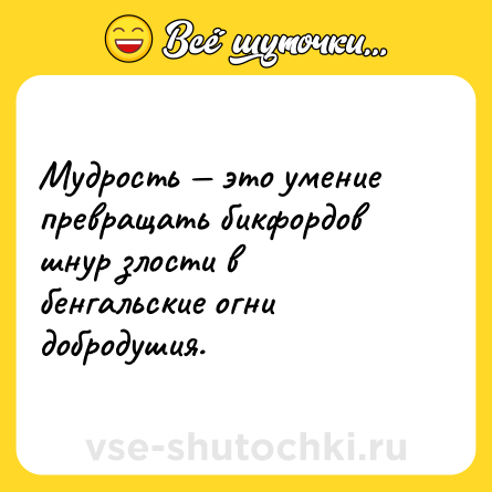 Шутка: Мудрость — это умение превращать бикфордов шнур злости в бенгальские огни добродушия.