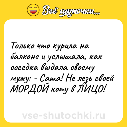 Шутка: Только что курила на балконе и услышала, как соседка выдала своему мужу: - Саша! Hе лезь своей МОРДОЙ коту в ЛИЦО!