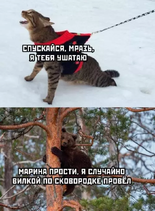 Смешная картинка №686228