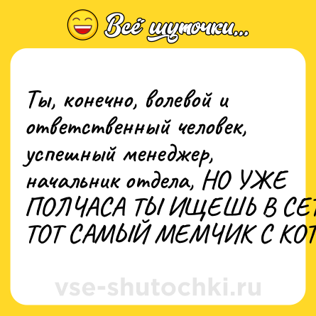 Шутка: Ты, конечно, волевой и ответственный человек, успешный менеджер, начальник отдела, НО УЖЕ ПОЛЧАСА ТЫ ИЩЕШЬ В СЕТИ ТОТ САМЫЙ МЕМЧИК С КОТОМ