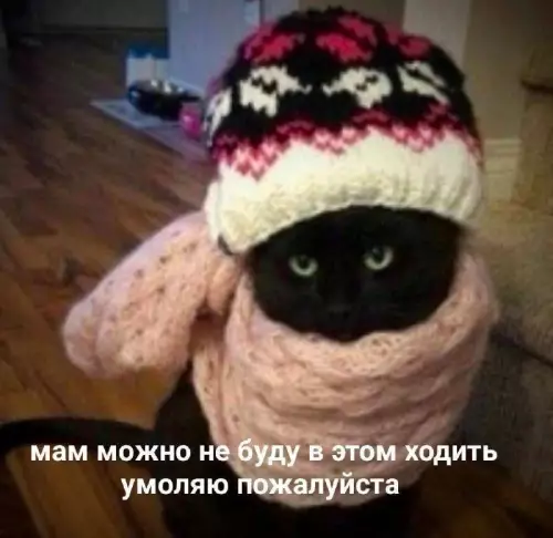 Смешная картинка №697218