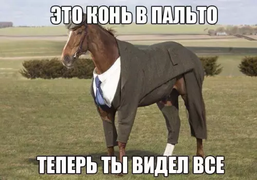 Смешная картинка №248552
