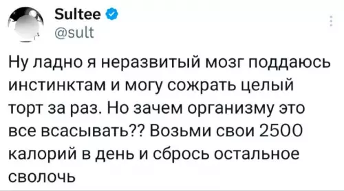 Торт против калорий: битва проиграна 🍰 - Ну ладно я неразвитый мозг поддаюсь инстинктам и могу сожрать