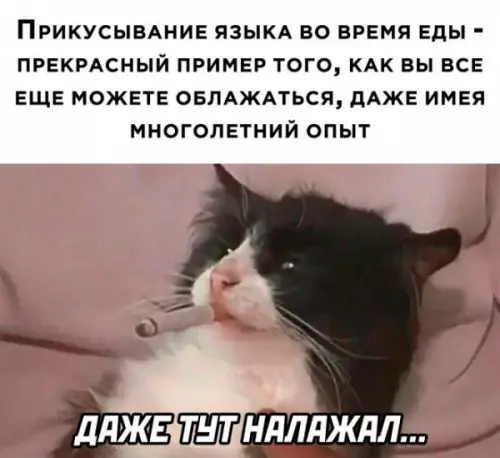 Смешная картинка №654126