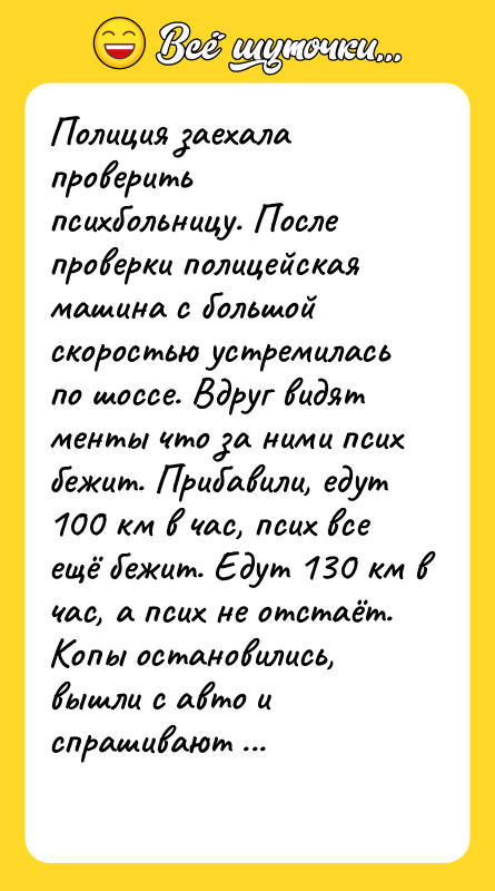Полиция заехала проверить психбольницу. После проверки полицейская машина с большой