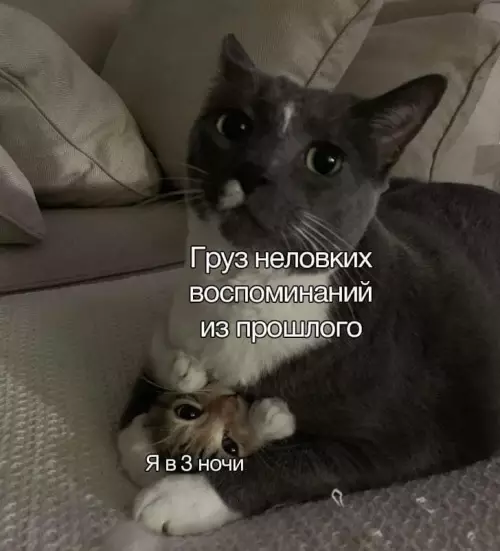 Смешная картинка №804098