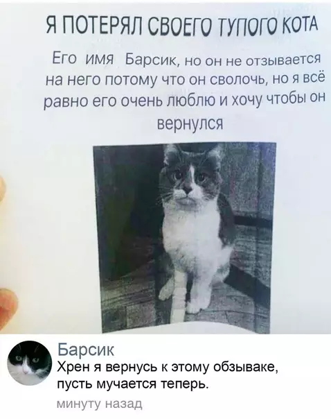 Смешная картинка №443210 Объявление о пропаже кота