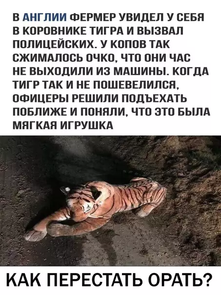 Смешная картинка №291673