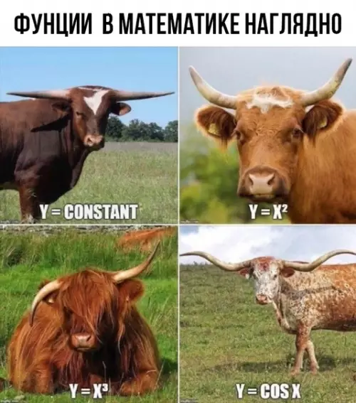 Смешная картинка №426716