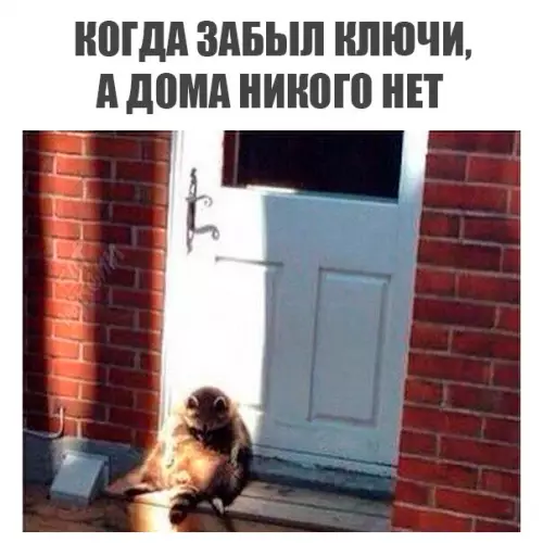 Смешная картинка №201208