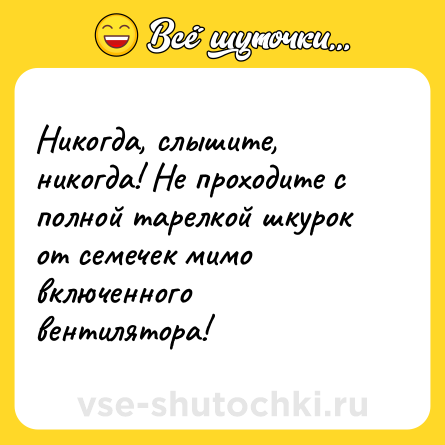 Шутка: Никогда, слышите, никогда! Не проходите с полной тарелкой шкурок от семечек мимо включенного вентилятора!