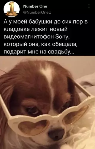 Смешная картинка №650279