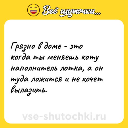 Шутка: Грязно в доме - это когда ты меняешь коту наполнитель лотка, а он туда ложится и не хочет вылазить.