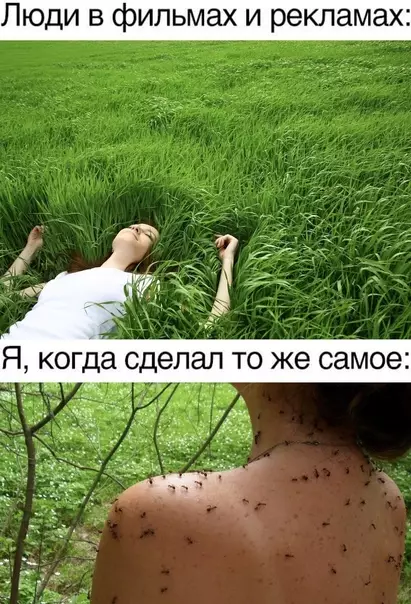 Смешная картинка №582797 Ну хоть не клещи