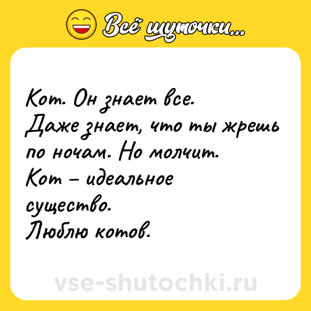 Шутка: Кот. Он знает все. <br>Даже знает, что ты жрешь по ночам. Но молчит. <br>Кот – идеальное существо. <br>Люблю котов.