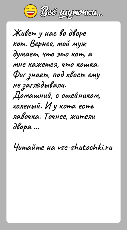 История: Живет у нас во дворе кот. Вернее, мой муж думает, что это кот, а мне кажется, что кошка. Фиг знает,