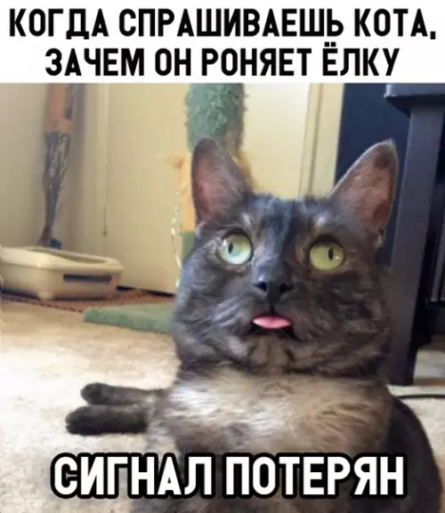Смешная картинка №322620