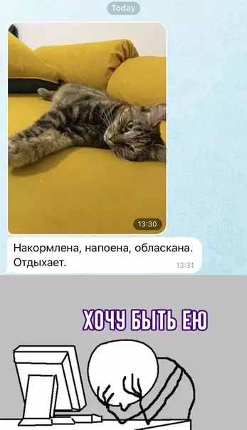 Смешная картинка №622400